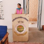 Palibangad