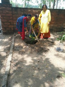 Pali Bangad
